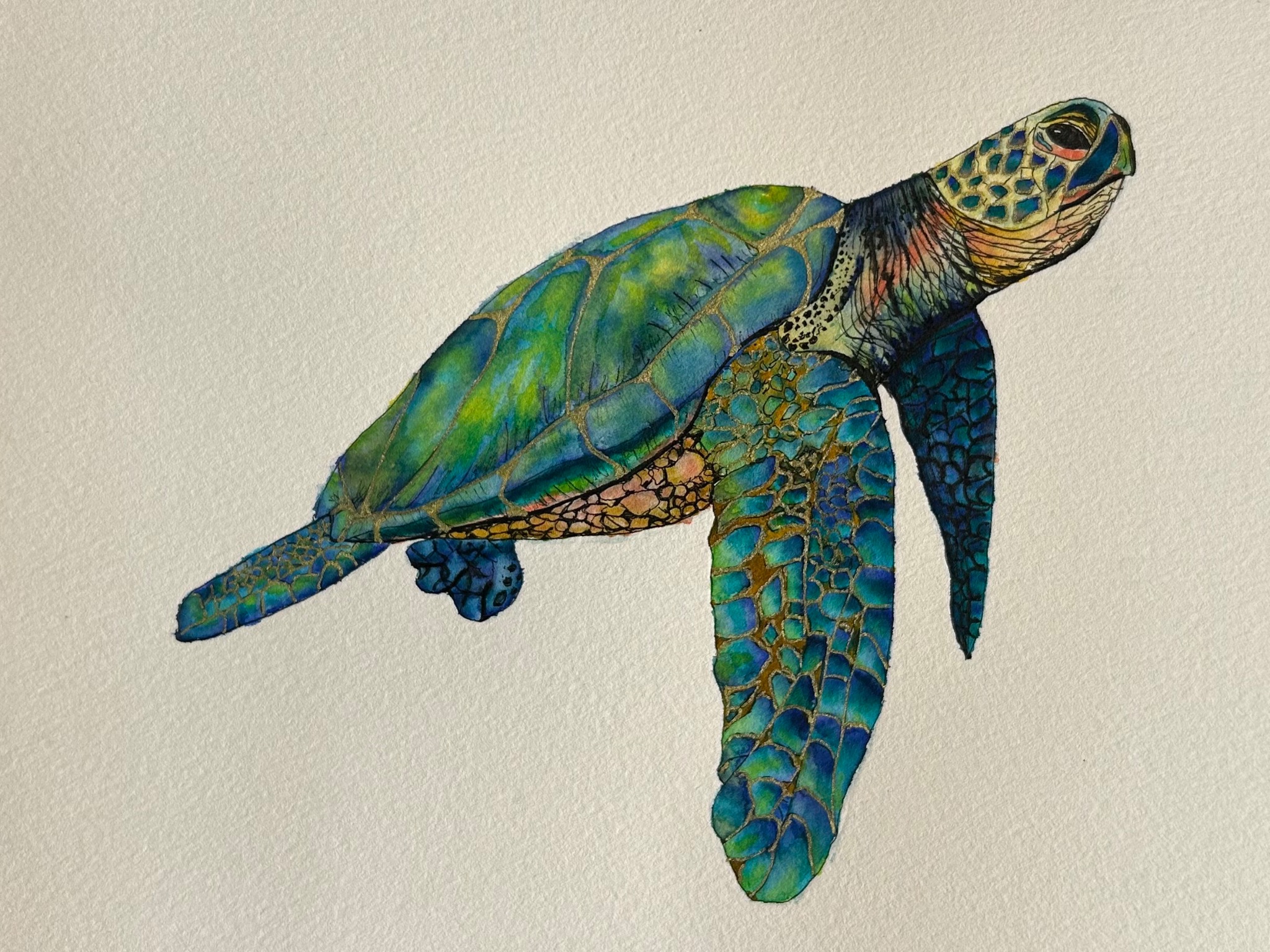 Detailed colourful watercolour painting of a sea turtle